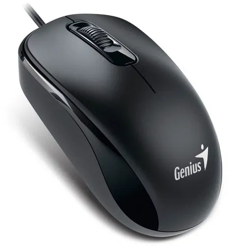 Genius DX-110 Calm black - USB